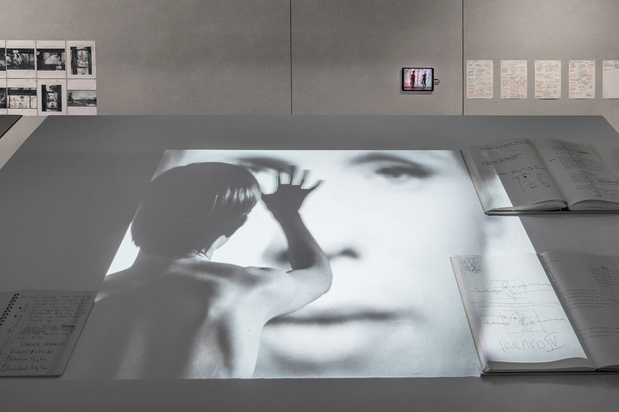 A Kind of Language: Storyboard and Other Renderings for Cinema